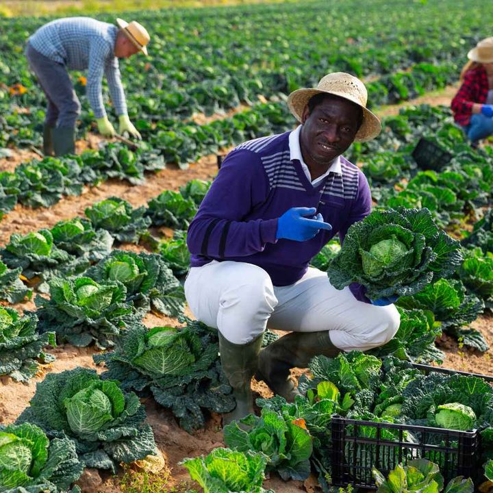 Agriculture & Environmental Sciences