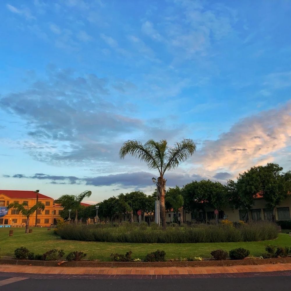 Cape Peninsula University of Technology at Sunset A palm tree and red roofed campus buildings at Cape Peninsula University of Technology under an evening sky.