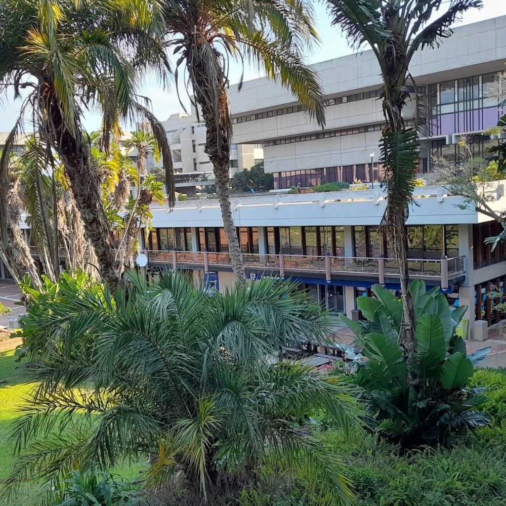 Nelson Mandela University Building Through Palm Trees A view of a Nelson Mandela University campus building framed by tall palm trees.