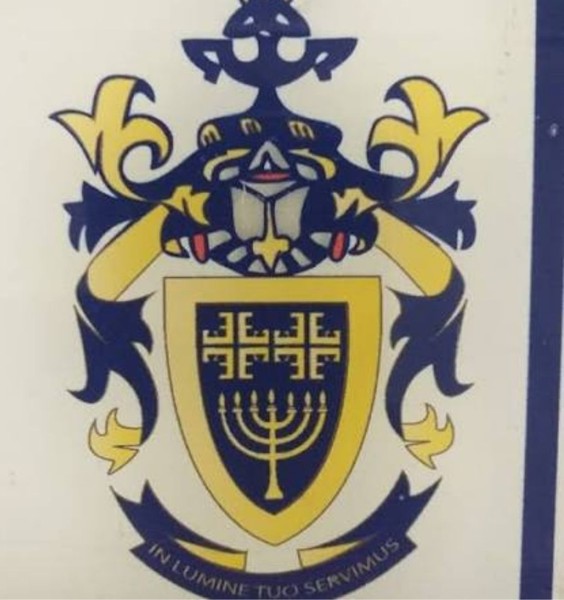 Excelsius Nursing College logo