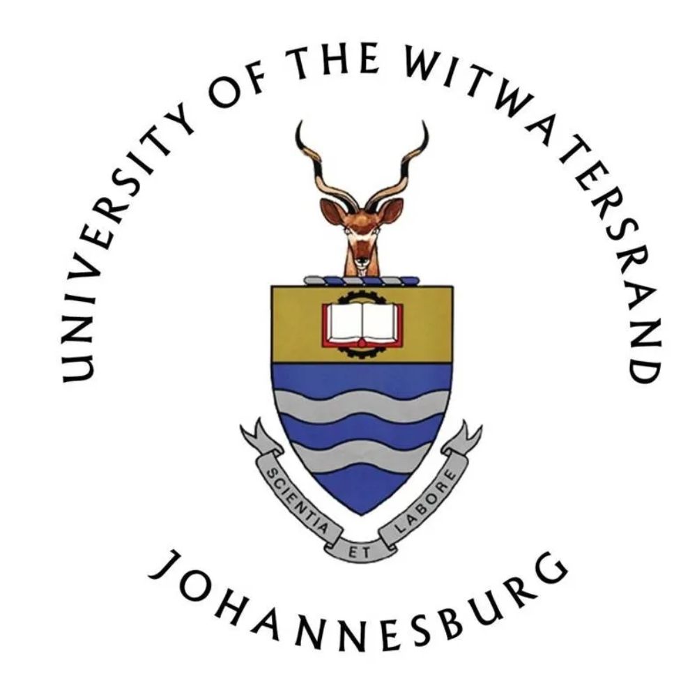 Wits logo