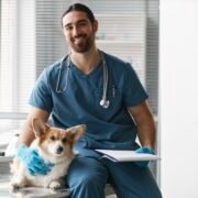 Which Universities Offer Veterinary Courses in South Africa