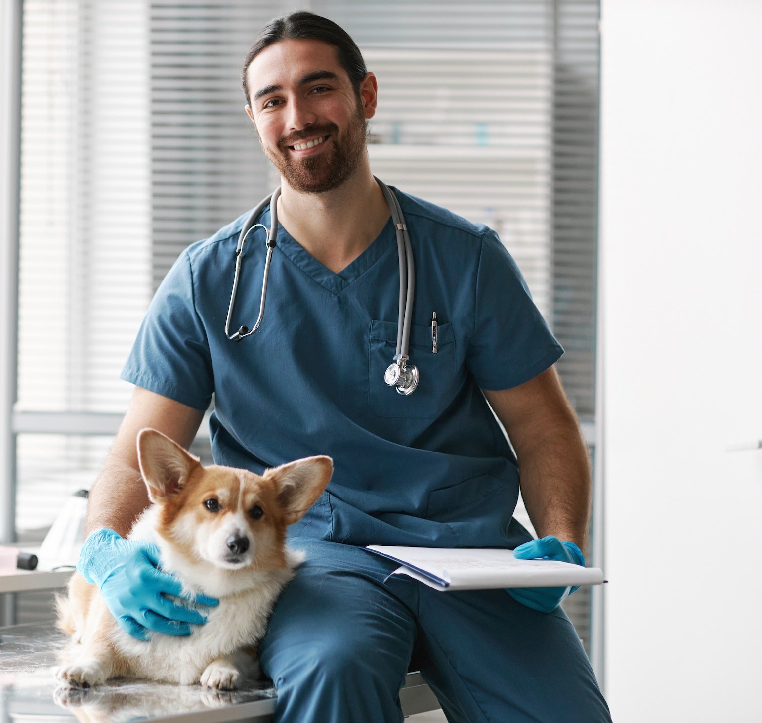 Which Universities Offer Veterinary Courses in South Africa